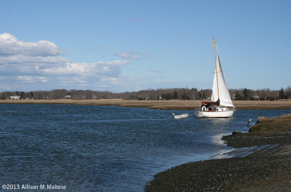 Out for a Sail by falcon11