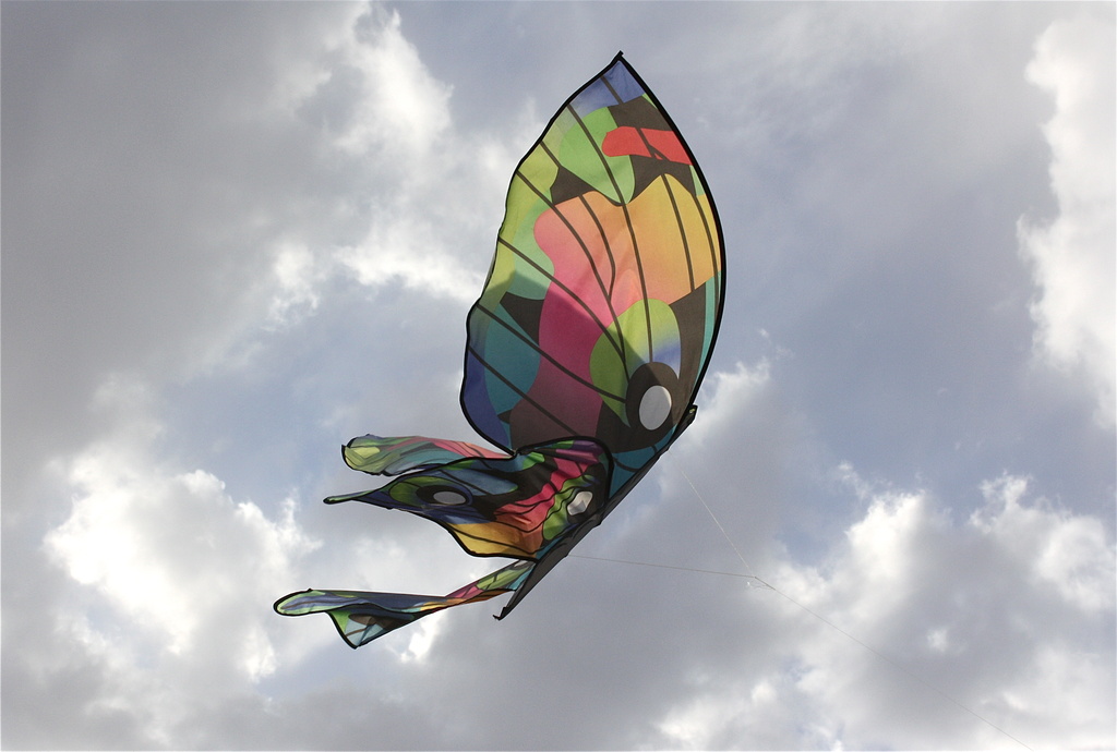 Butterfly kite by aecasey