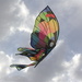 Butterfly kite by aecasey