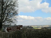 30th Mar 2013 - a view of the South Downs