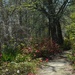 Cypress Gardens, SC by congaree