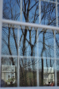 30th Mar 2013 - Reflections in the schoolhouse window