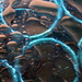2013 03 30 Abstract Oil and Water by kwiksilver