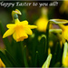 31st March -  My Easter card to you all!! by pamknowler