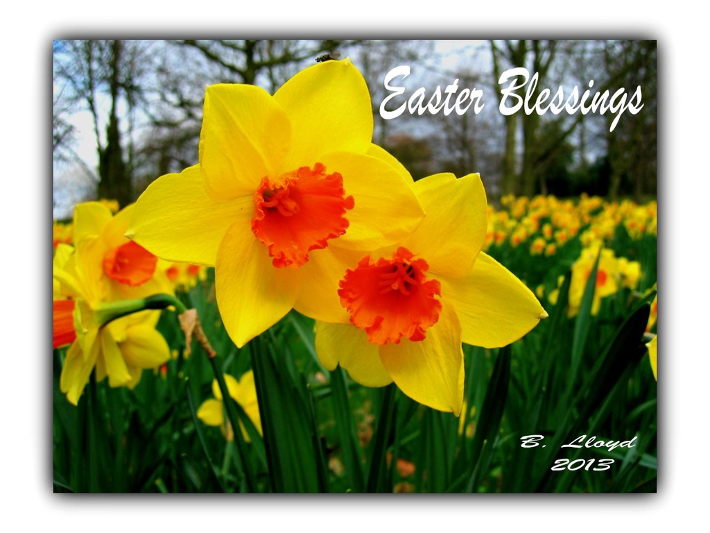 Easter Blessings by beryl