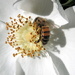 Bee and My Shadow by pasadenarose