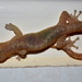 Gecko by salza