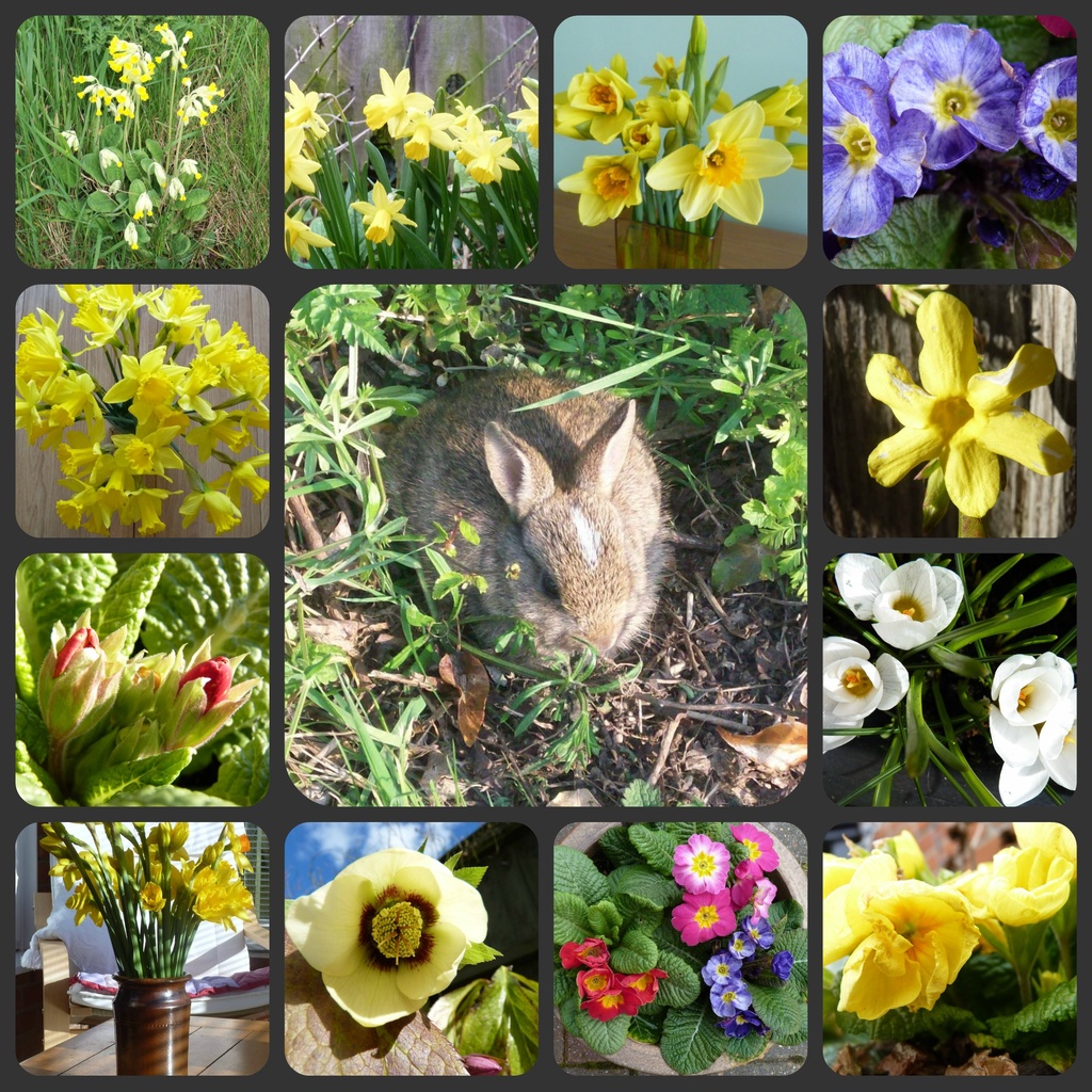 Spring Collage by lellie