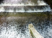 31st Mar 2013 - River Leven