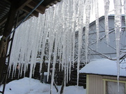 17th Feb 2013 - Long icicles IMG_9203