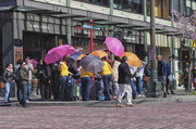 29th Mar 2013 - A Beautiful Day In Seattle With A Free Umbrella Give Away!  Does It Get Any Better!