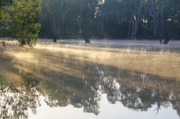 1st Apr 2013 - Morning mist