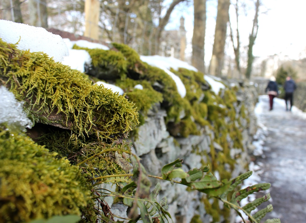 Dry Stone wall. by happypat