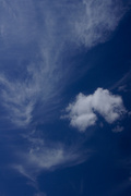 1st Apr 2013 - Blue skies
