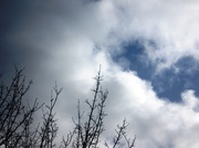 1st Apr 2013 - Blue sky