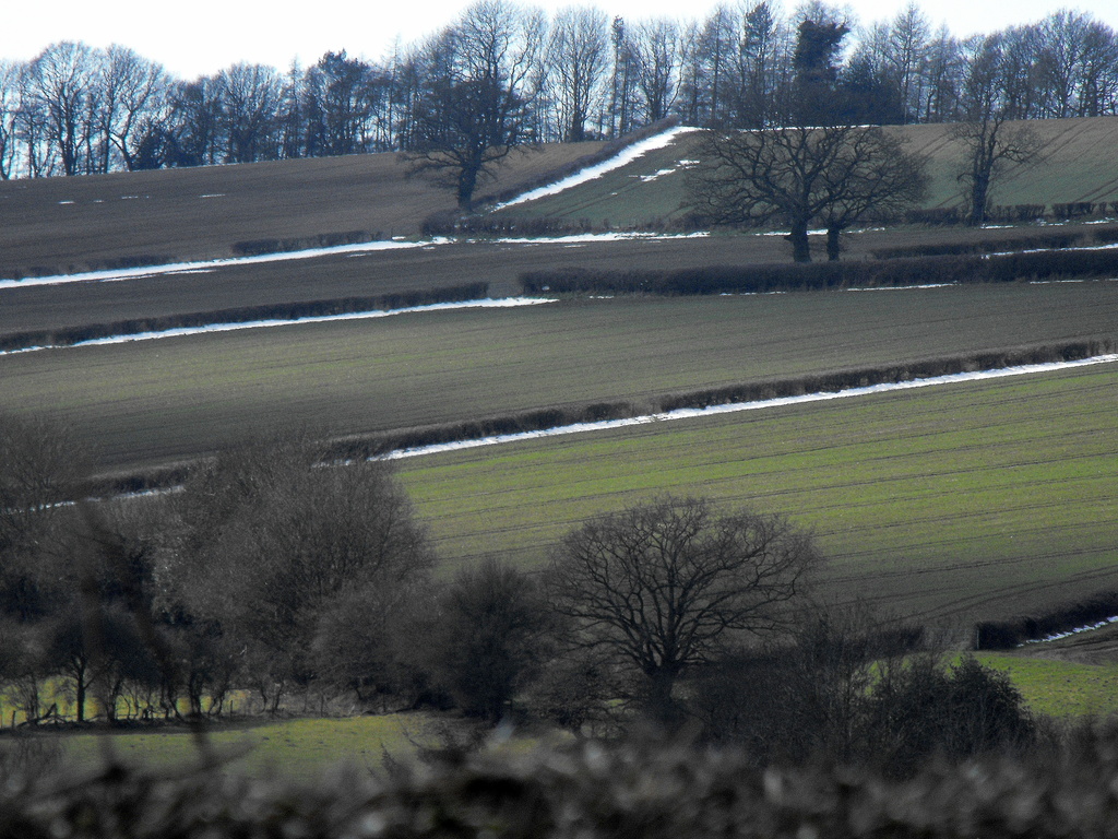 Snow lined edges round the fields.... by snowy
