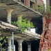 Urban Decay 1 by lynne5477