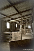 29th Mar 2013 - The Shearing Shed