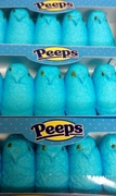 2nd Apr 2013 - Blue Peeps