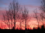 28th Feb 2013 - Sunset IMG_9353