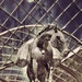 Trinity Horse by rich57