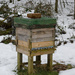 Bee Hive by harveyzone