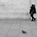 Follow The Pigeon by andycoleborn