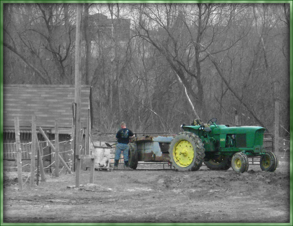 John Deere Green by olivetreeann