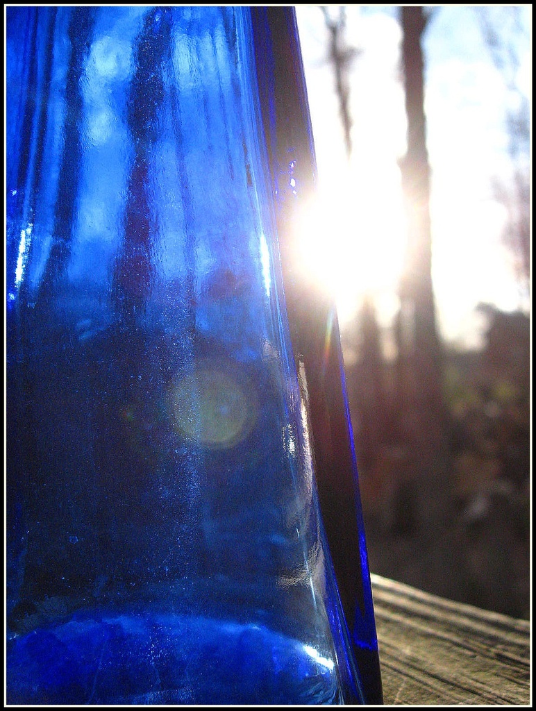 Blue Bottle, Yellow Sun by olivetreeann