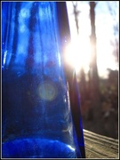 2nd Apr 2013 - Blue Bottle, Yellow Sun