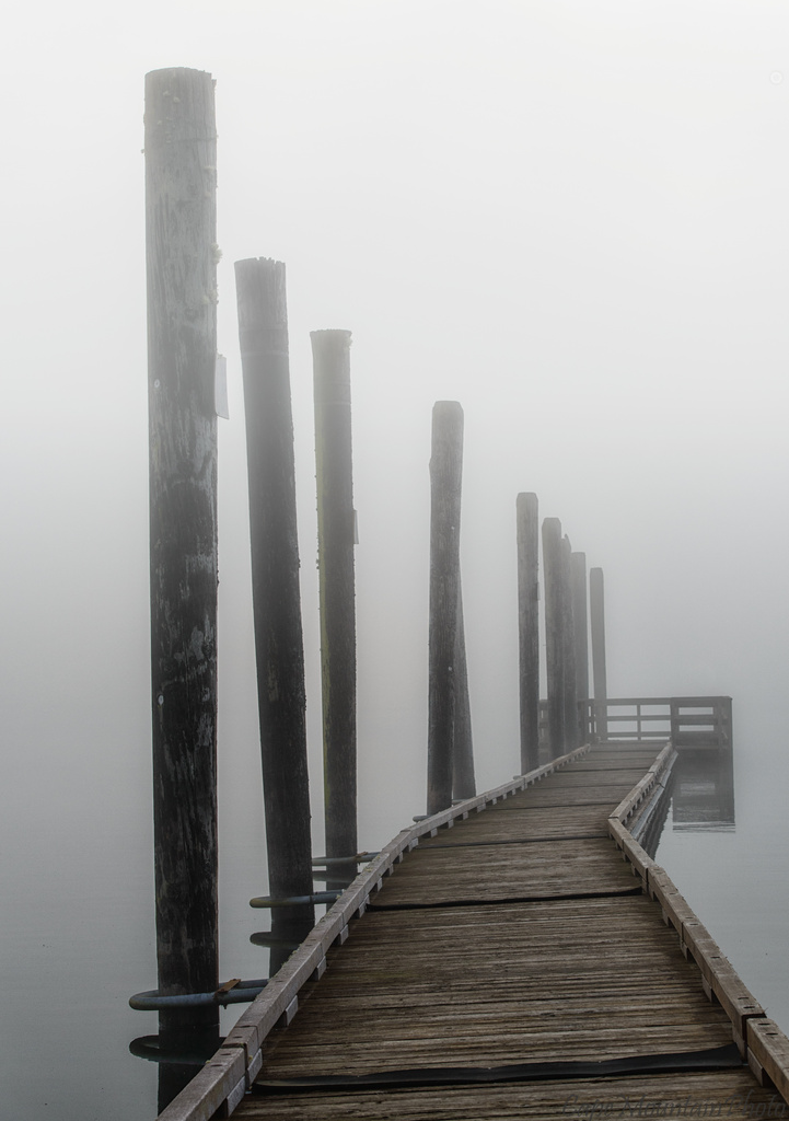Dock Into the Fog  by jgpittenger