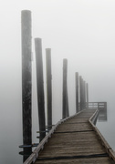 4th Apr 2013 - Dock Into the Fog 