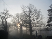 10th Dec 2010 - Fog 1