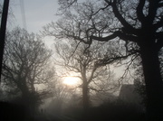 11th Dec 2010 - Fog 2