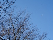 4th Apr 2013 - There's a moon up there