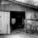 Old Barn B&W by lynne5477