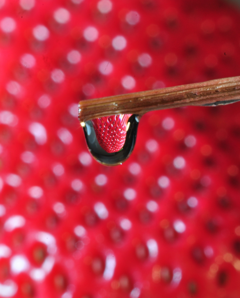 Strawberry refraction by jayberg