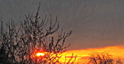 5th Apr 2013 - sunset with blossom