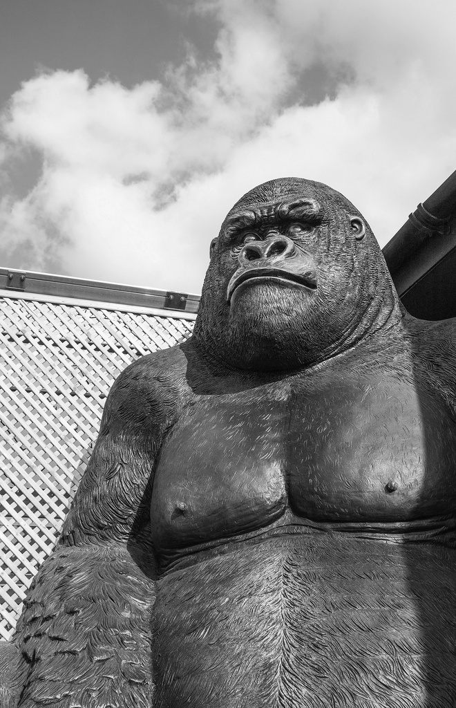The last thing you expect to see when you go to a small, local garden centre is a ten foot high gorilla!   by dulciknit