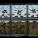 Window - 05-4 by barrowlane