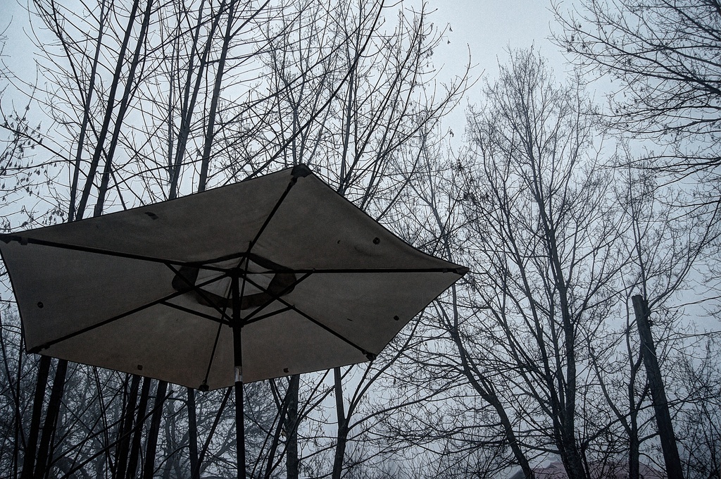 Umbrella & Fog by jawere