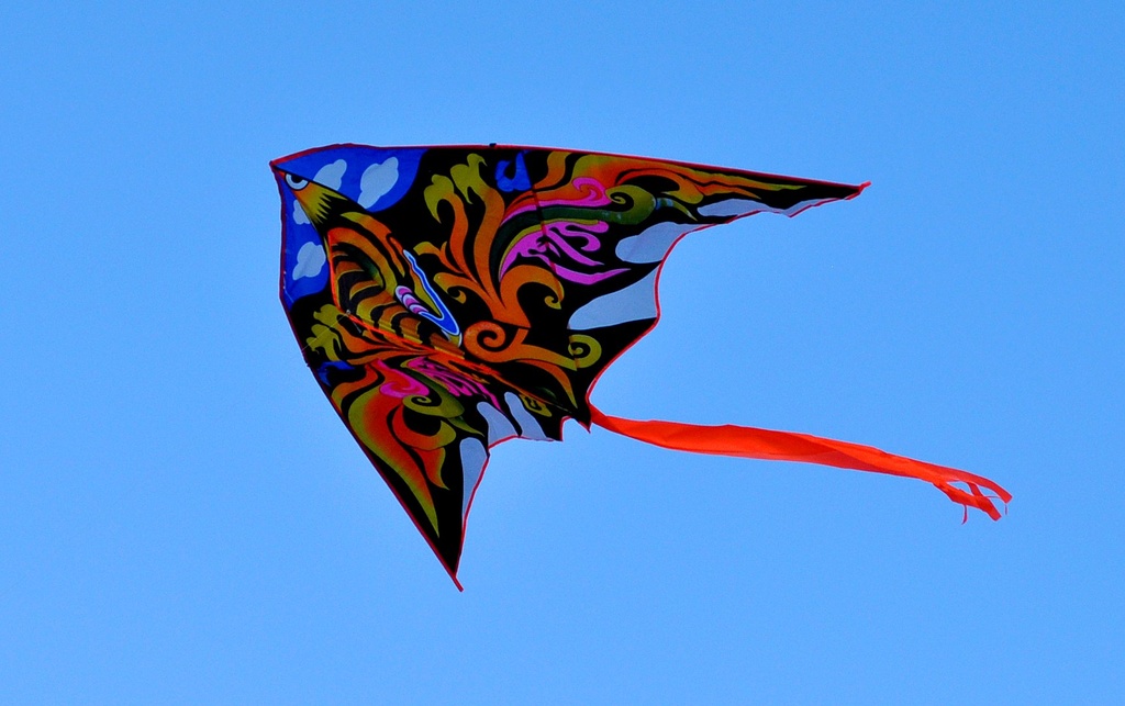 Kite... by philbacon