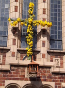 6th Apr 2013 - daffodil cross using zoom