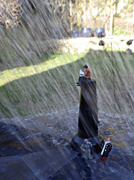 6th Apr 2013 - Arp 06: Showers/Umbrella