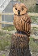 4th Apr 2013 - New Owl