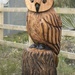 New Owl by oldjosh
