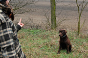 6th Apr 2013 - How to train your dog :)
