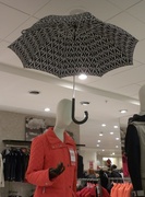 6th Apr 2013 - Umbrella