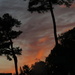 SOOC Sunset by grammyn