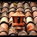 French farmhouse roof by jocasta